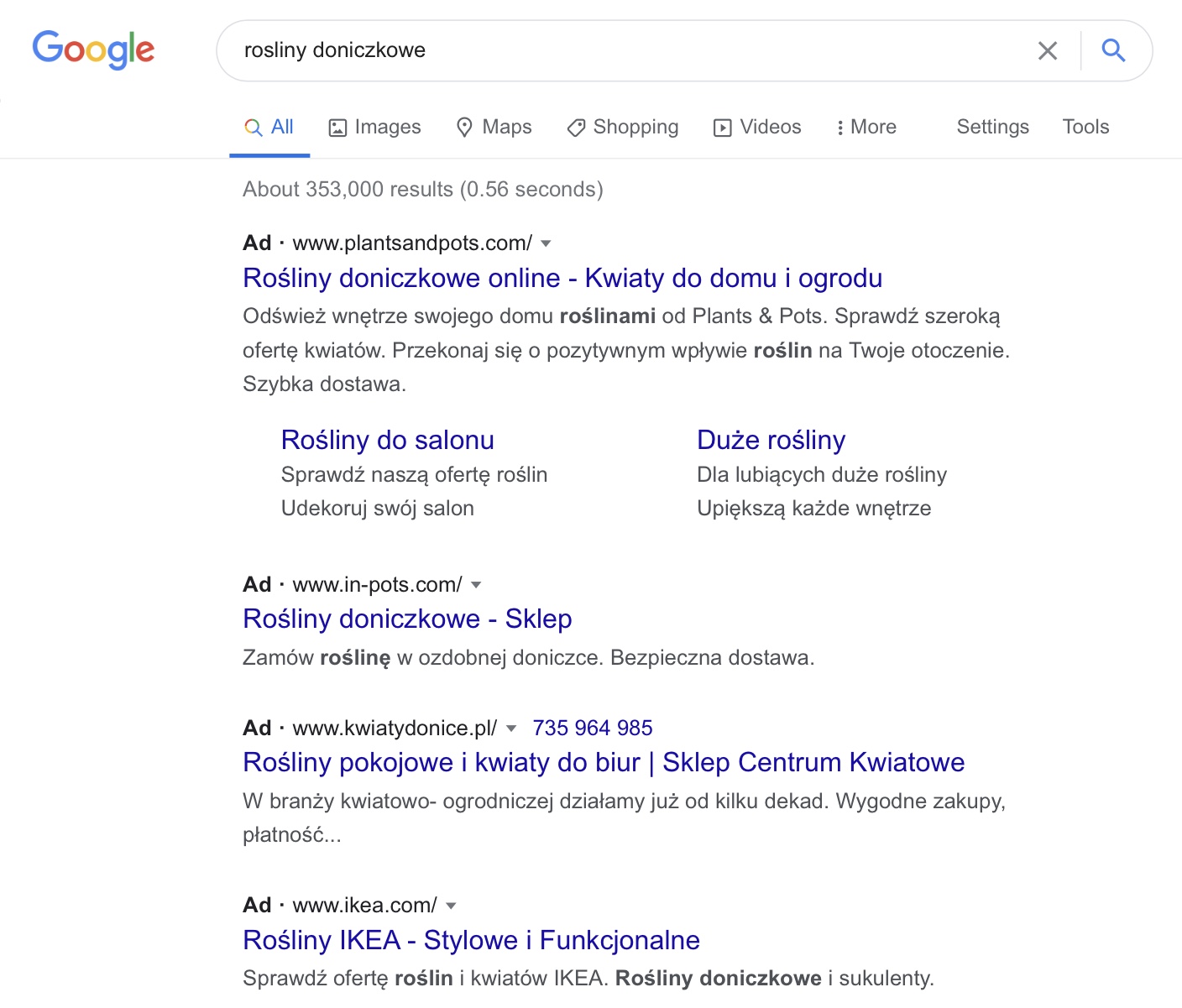Przykładowe wyniki wyszukiwania w Google